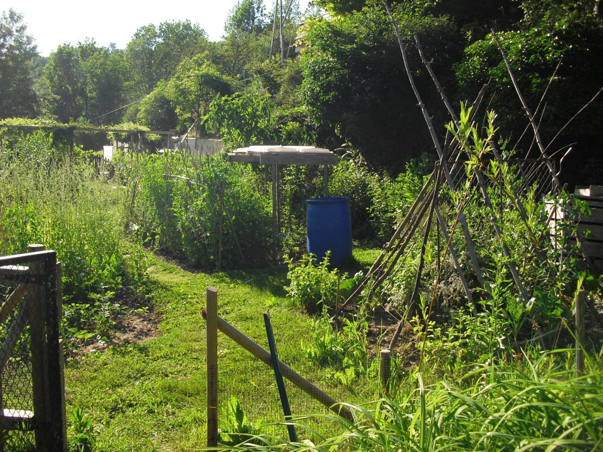 La Maison Imparfaite Fourbanne Buitenkant foto
